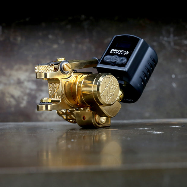 Dan Kubin V3/24 Sidewinder - Gold x Gold RCA