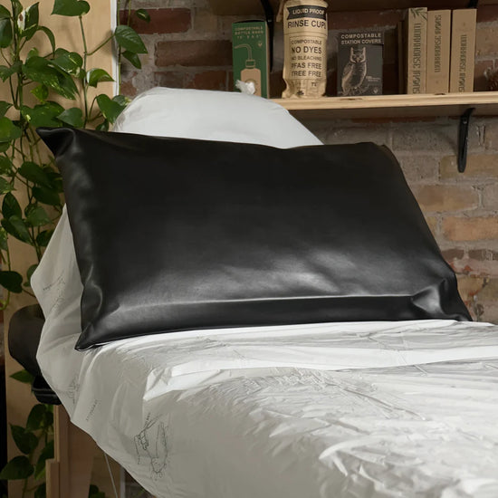 Good Judy Cactus Leather Pillow